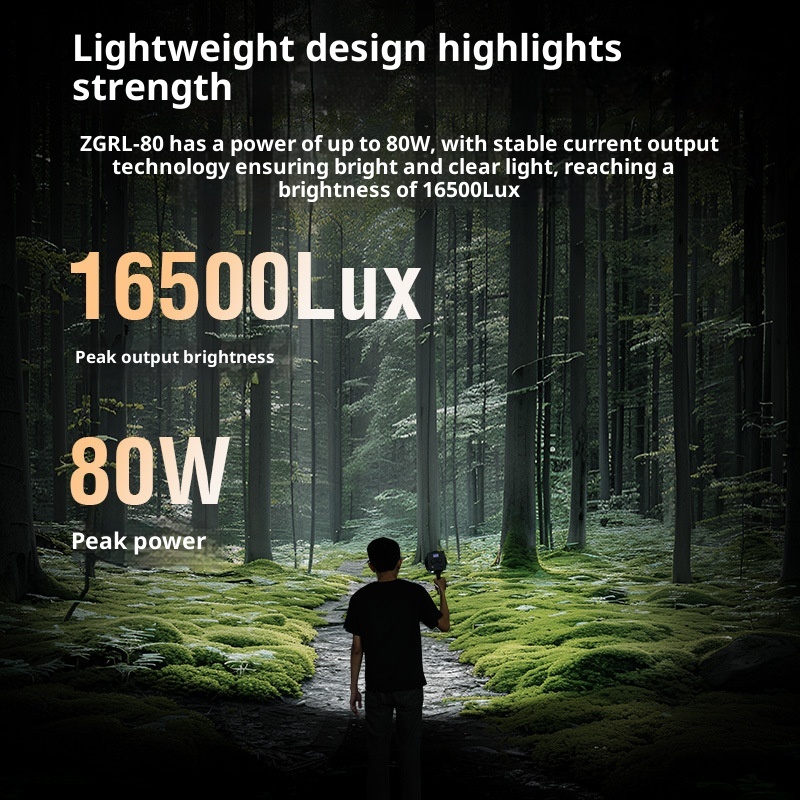 ZGRL80 80W COB Handheld Video  - Outdoor Lighting Video Shooting avaliação e preço