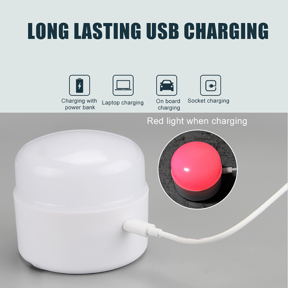 Led Outdoor Camping Lights Por - Outdoor Lighting On Trees avaliação e preço